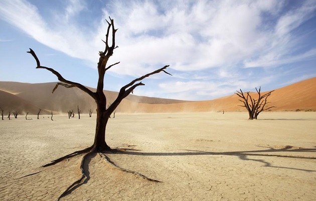 Namibia Photo Tours