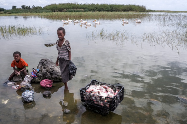 Photo Tourto Ethiopia with Harry Fisch