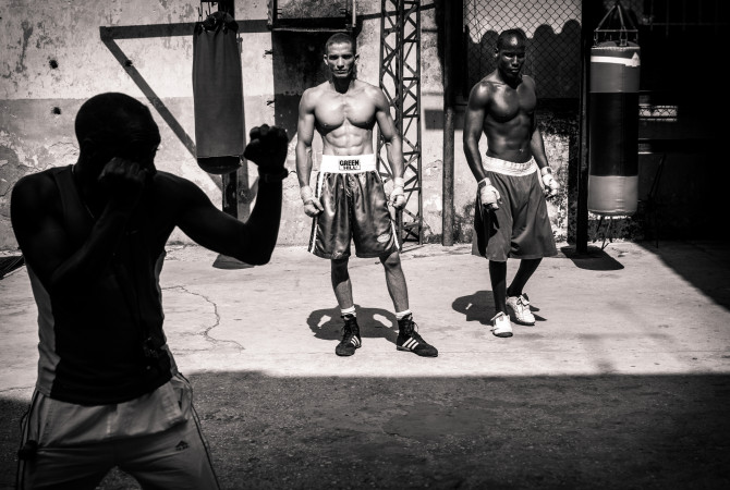 Cuban Boxers, Harry Fisch