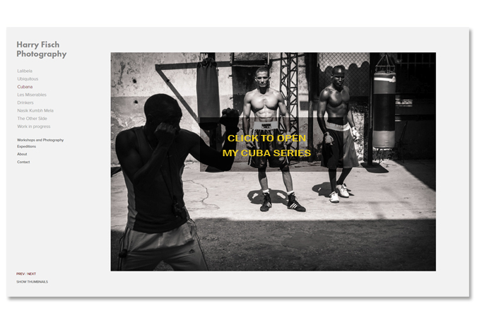 bOXERS PARA BLOG