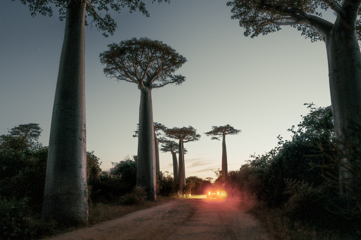 Madagascar