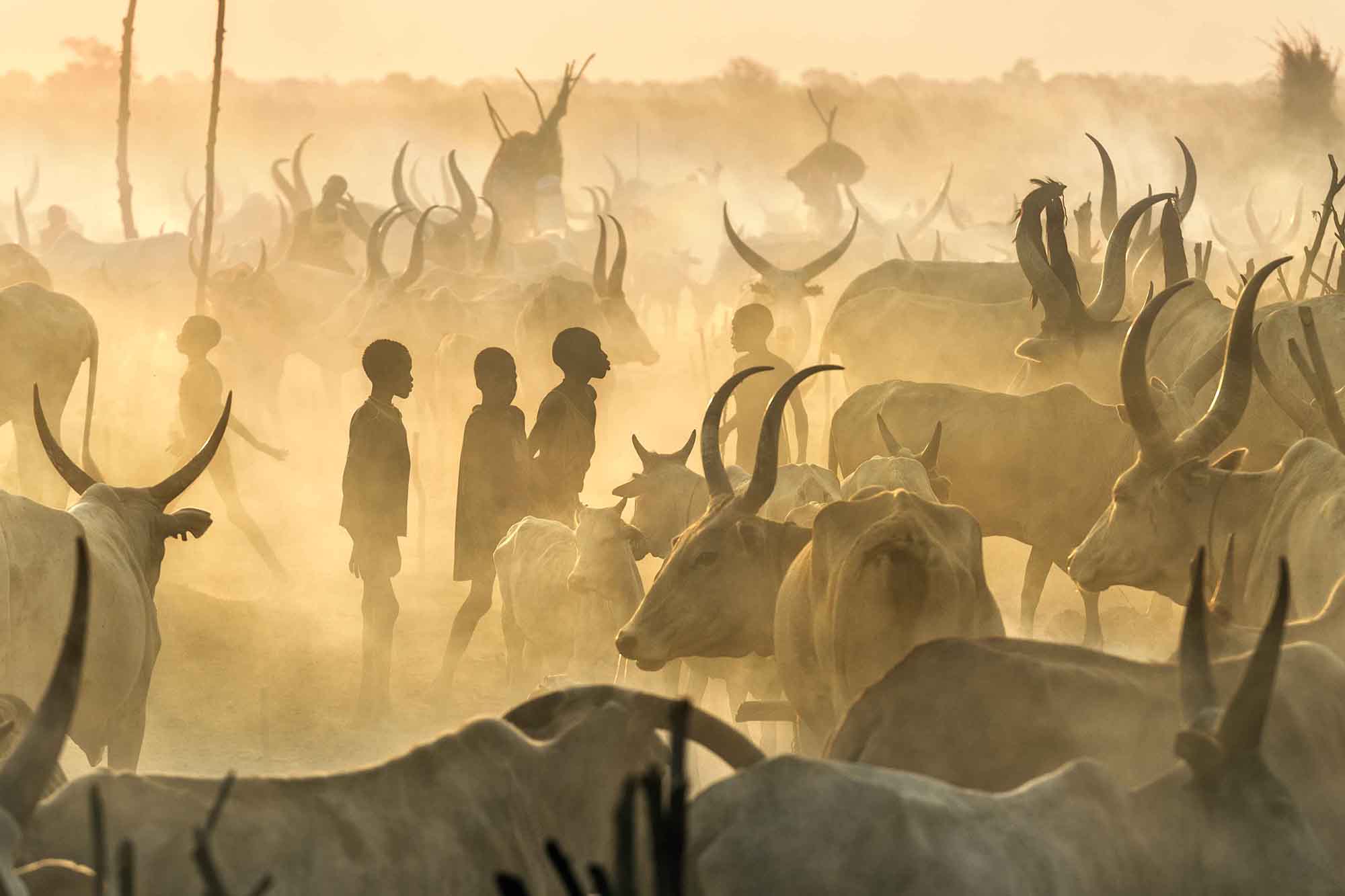 Sudan